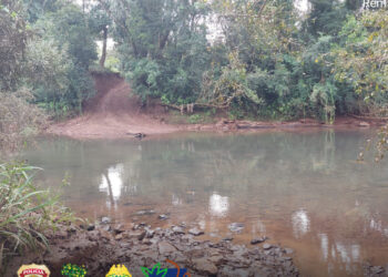 Crimes ambientais na fronteira com a Argentina são alvos de operação policial