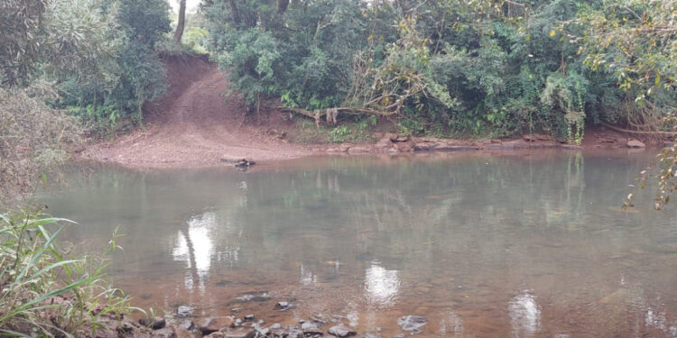 Crimes ambientais na fronteira com a Argentina são alvos de operação policial