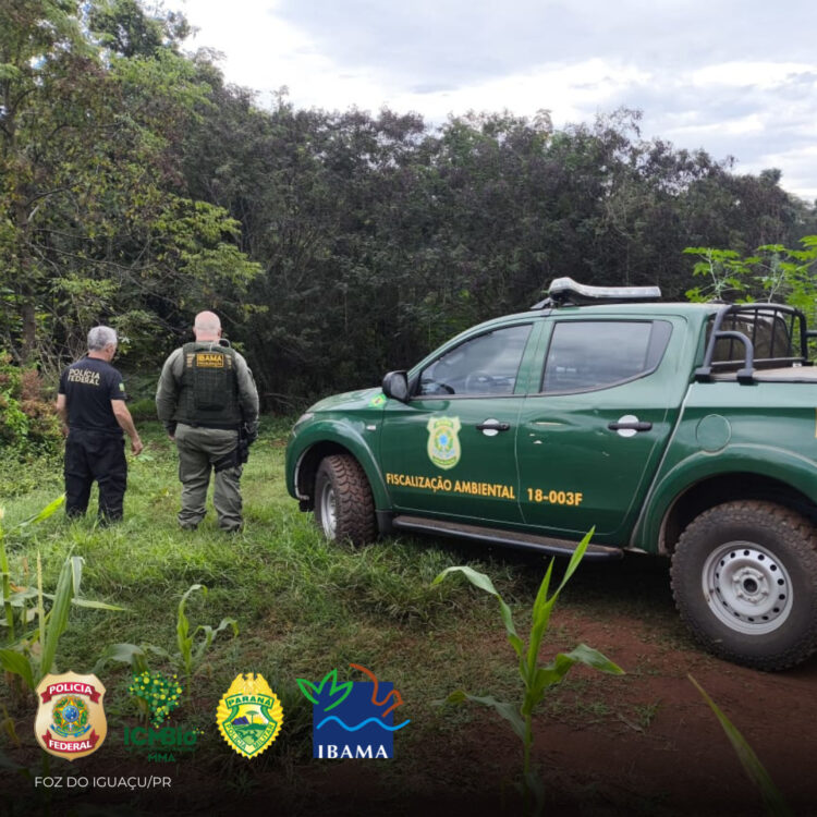 Crimes ambientais na fronteira com a Argentina são alvos de operação policial