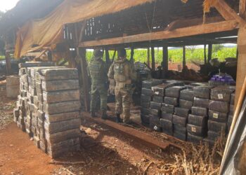 Polícia descobre galpão com 2,7 toneladas de maconha em Santa Helena