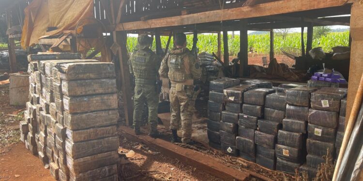 Polícia descobre galpão com 2,7 toneladas de maconha em Santa Helena