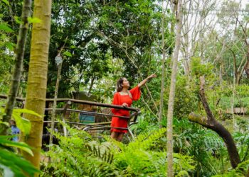 Entre os dias 7 e 15 de junho o Parque das Aves não vai cobrar ingresso para moradores de Foz