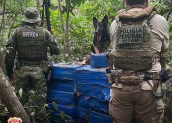 Com auxílio de cães farejadores, PF e PM apreendem mais de 1 tonelada de maconha em Santa Helena