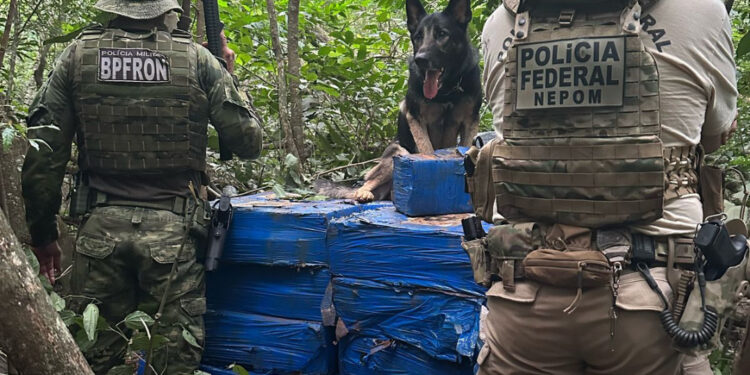 Com auxílio de cães farejadores, PF e PM apreendem mais de 1 tonelada de maconha em Santa Helena