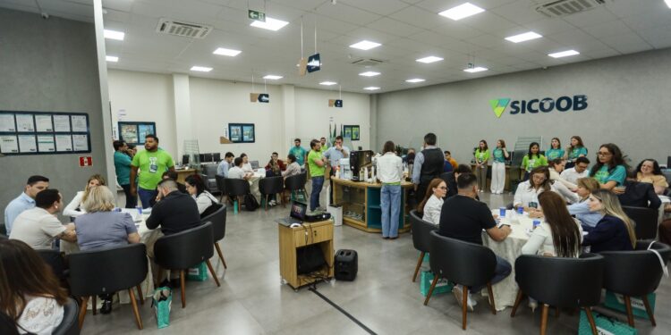 Sicoob apoia jovens empreendedores com soluções financeiras especiais