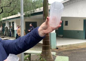 Combate à dengue: Foz vai ampliar Método Wolbachia para 100% do território