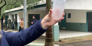 Foz e Londrina vão ampliar o Método Wolbachia no combate ao mosquito transmissor da dengue