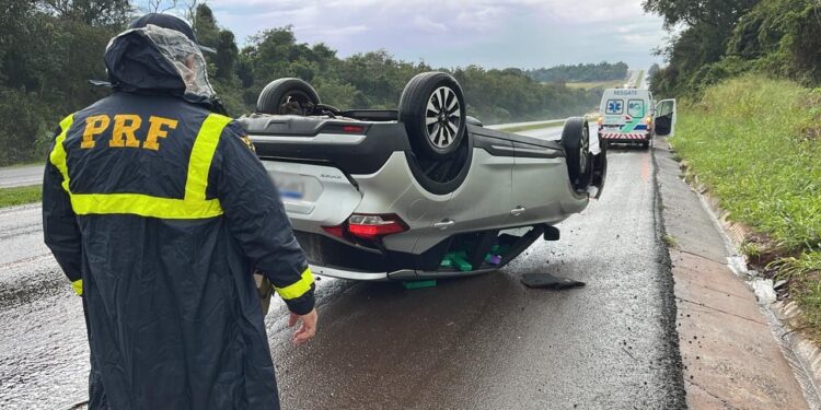 PRF apreende mais de 500kg de maconha durante fiscalizações na BR-277