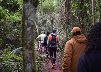 Parque Nacional do Iguaçu tem programação especial na Semana Mundial do Meio Ambiente