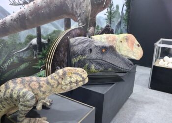 Foz sedia maior feira de paleontologia itinerante do Brasil na ExpoGeoMinE