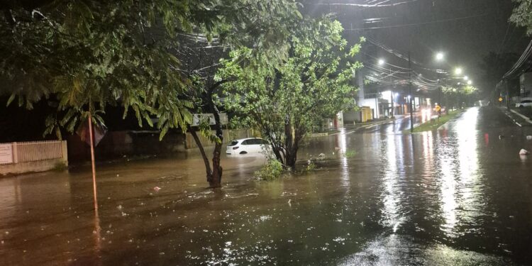 Defesa Civil faz balanço parcial dos danos causados pelas fortes chuvas de hoje
