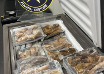 Carga com “moluscos exóticos” é retida no Aeroporto Internacional de Foz