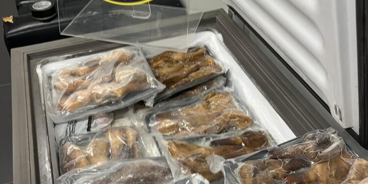 Carga com “moluscos exóticos” é retida no Aeroporto Internacional de Foz