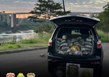 26 kg de capulho, uma variação da maconha, são apreendidos às margens do Rio Paraná