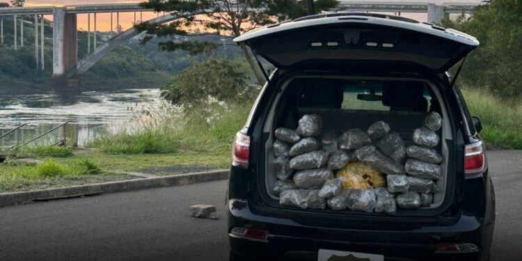 26 kg de capulho, uma variação da maconha, são apreendidos às margens do Rio Paraná