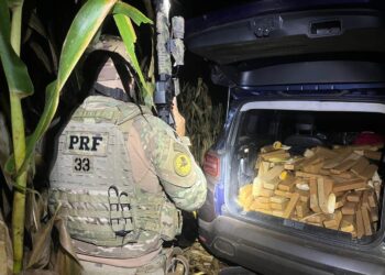 Motorista com carro lotado de maconha foge da polícia invadindo plantação de milho