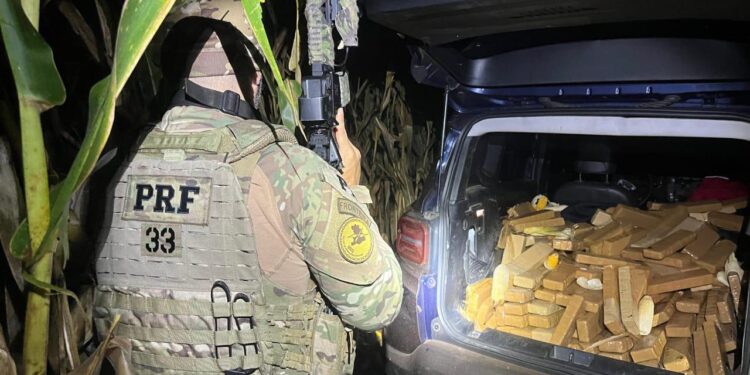 Motorista com carro lotado de maconha foge da polícia invadindo plantação de milho