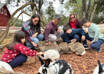 Eco Park Foz lança sua primeira Colônia de Férias de Inverno com atividades educativas e contato com a natureza