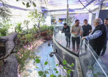 IAT emite licença ambiental que permite funcionamento do aquário de Foz do Iguaçu