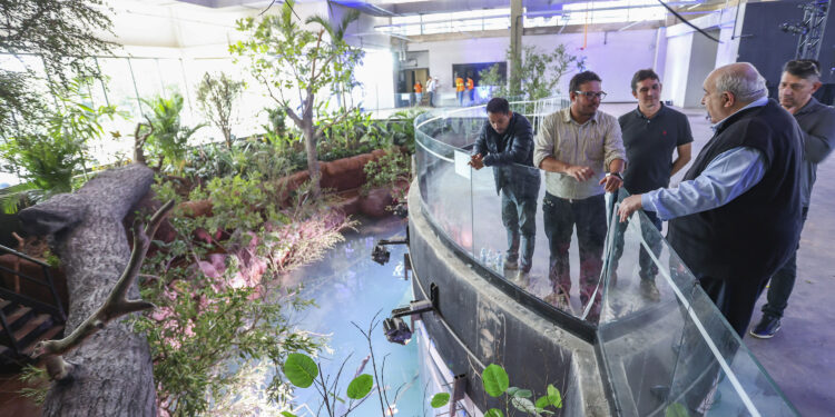 IAT emite licença ambiental que permite funcionamento do aquário de Foz do Iguaçu