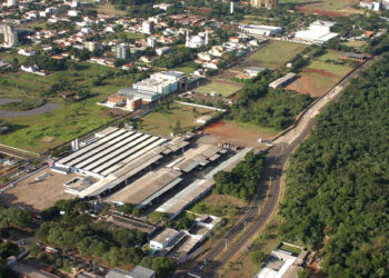 Ceasa de Foz do Iguaçu abre licitação de áreas para comércio de hortigranjeiros