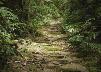 Caminhos do Peabiru: oficinas nos municípios vão mapear a rota turística