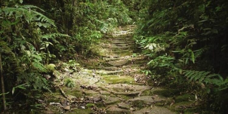 Caminhos do Peabiru: oficinas nos municípios vão mapear a rota turística