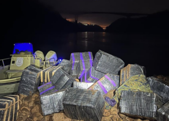 Polícia apreende 1,6 tonelada de maconha e recupera veículo furtado