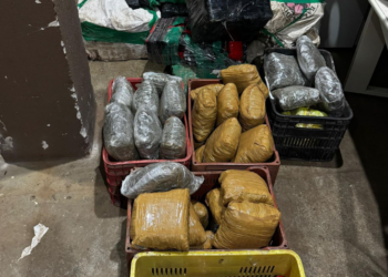 PRF apreende mais de 500 kg de maconha em carro roubado