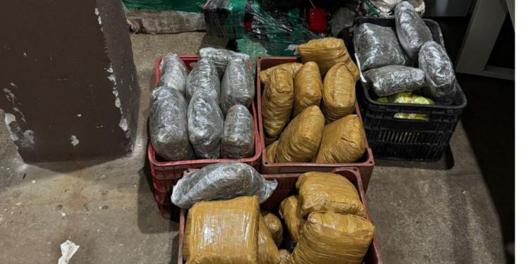 PRF apreende mais de 500 kg de maconha em carro roubado