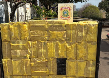 Polícia Federal apreende dois caminhões carregados com cigarros no Portal da Foz