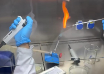 Projeto da UNILA contra a dengue é selecionado para competição global de biologia