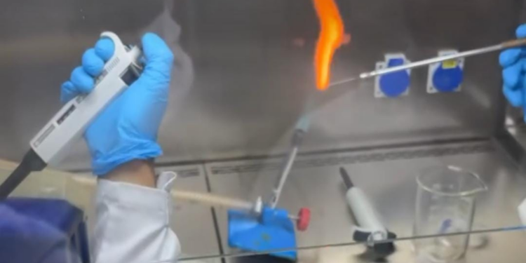 Projeto da UNILA contra a dengue é selecionado para competição global de biologia