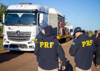 PRF escolta elefanta Kenya em travessia por Foz do Iguaçu rumo a santuário especializado