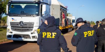 PRF escolta elefanta Kenya em travessia por Foz do Iguaçu rumo a santuário especializado