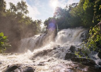 Circuito São João é a nova atração no Parque Nacional do Iguaçu
