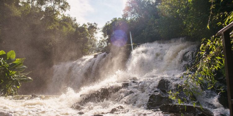 Circuito São João é a nova atração no Parque Nacional do Iguaçu