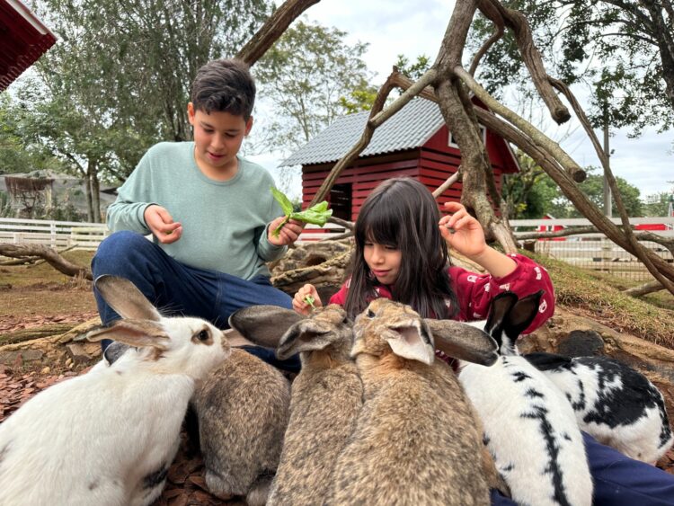 Últimas vagas: Colônia de Férias do Eco Park Foz começa neste sábado (12)