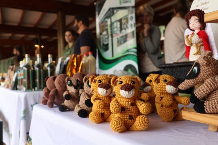 A partir de sábado (12), Parque Nacional do Iguaçu vai ampliar horários e atrativos