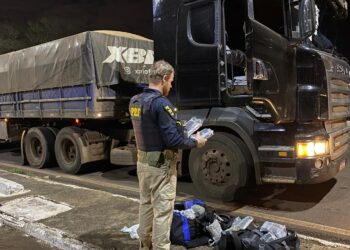 Caminhoneiro paraguaio é preso transportando 36 kg de haxixe e 9 kg de skunk