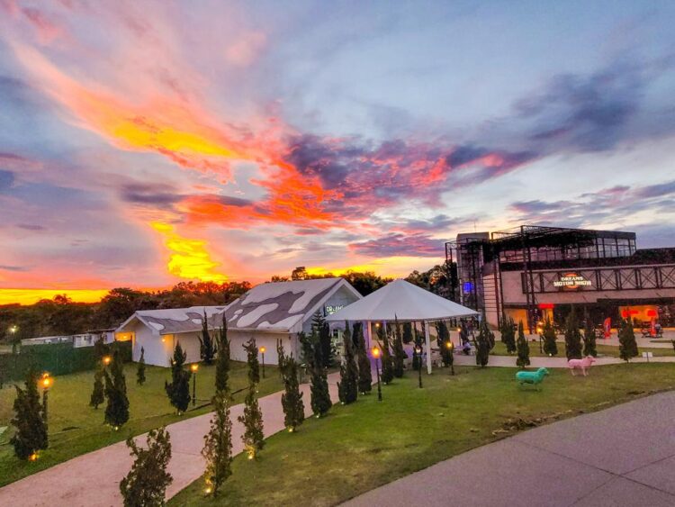 Dia do Rock será comemorado com uma semana de shows no Complexo Dreams