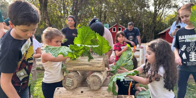 Crianças viram mini veterinários na Colônia de Férias do Eco Park Foz e as mães agradecem