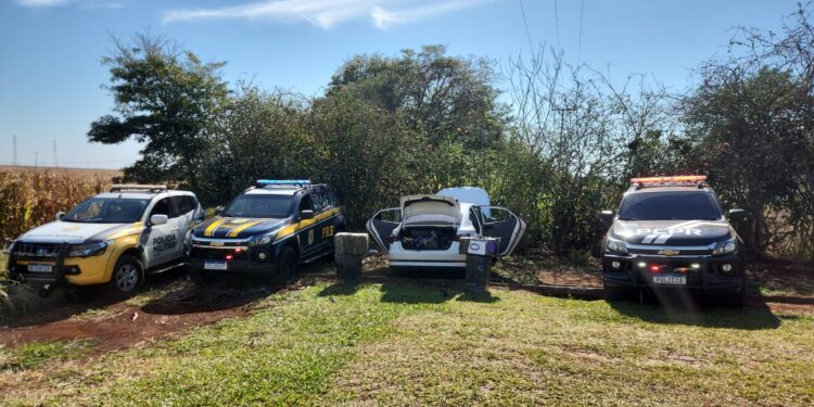 Motorista em fuga quase atropela policial civil e é preso com mais de 400kg de maconha