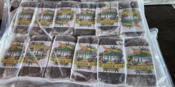 Brasileira é presa ao tentar cruzar a fronteira com mais de 4kg de ‘ice cream cake’, uma variedade da maconha