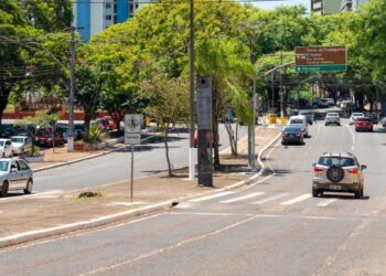 Pesquisa em domicílios quer identificar perfil socioeconômico de Foz do Iguaçu
