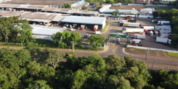 Quinze lotes leiloados na Ceasa de Foz do Iguaçu são arrematados por R$ 625 mil