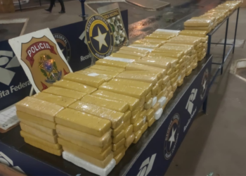 Receita Federal apreende 237 kg de maconha em carro com placas argentinas