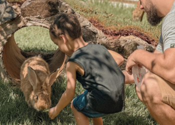 Oficina de desenhos e exposições marcarão o Dia dos Pais no Eco Park Foz
