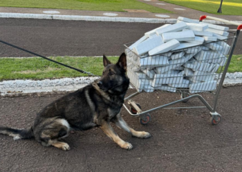 Motorista foge da fiscalização e abandona caminhão com R$ 550 mil em celulares e tablets