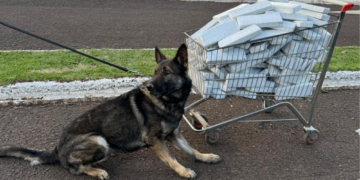 Motorista foge da fiscalização e abandona caminhão com R$ 550 mil em celulares e tablets